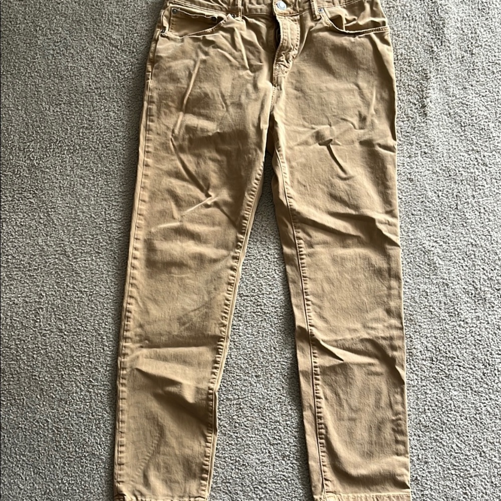 Tan Casual Pants